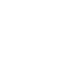 Custom Decompiler icon