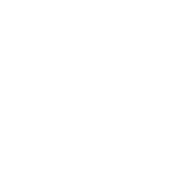 Error-Spoofing icon