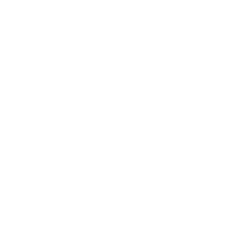 Support Team icon