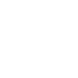 Protection icon